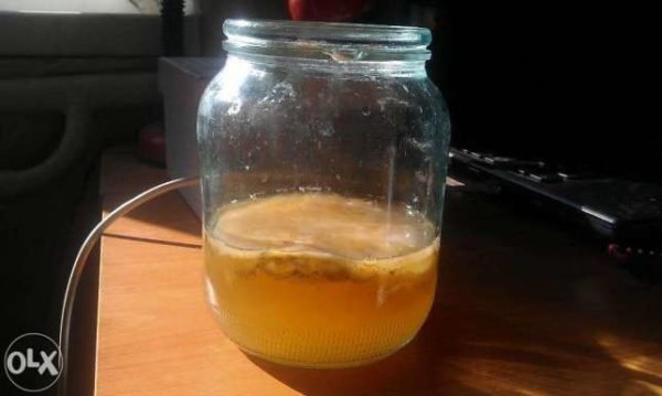 Чайный гриб, винные пробки и скорлупа: ТОП самых дешевых вещей, которые можно купить в Днепре 1