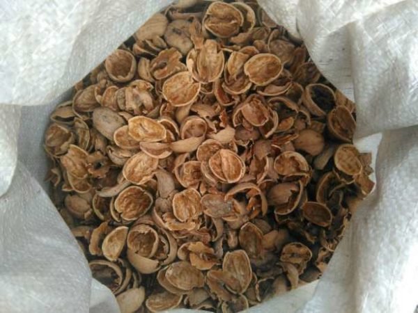 Чайный гриб, винные пробки и скорлупа: ТОП самых дешевых вещей, которые можно купить в Днепре 2