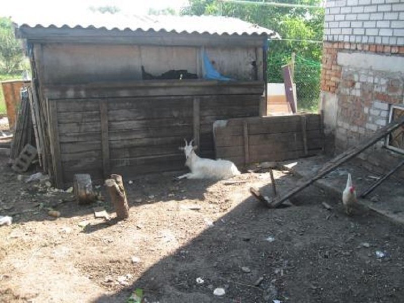 Жизнь взаперти: в Днепре 11 человек насильно удерживали в частном доме 2