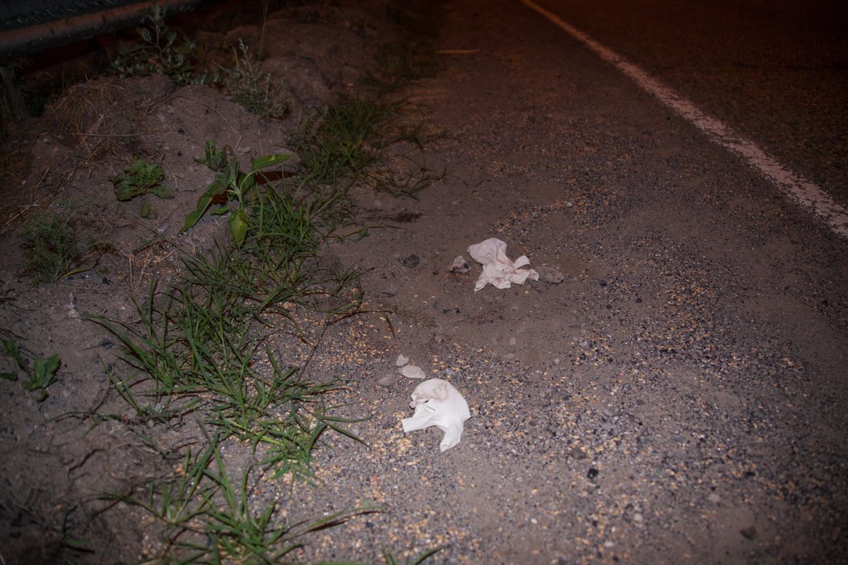 Под Днепром грузовик насмерть сбил велосипедиста 2