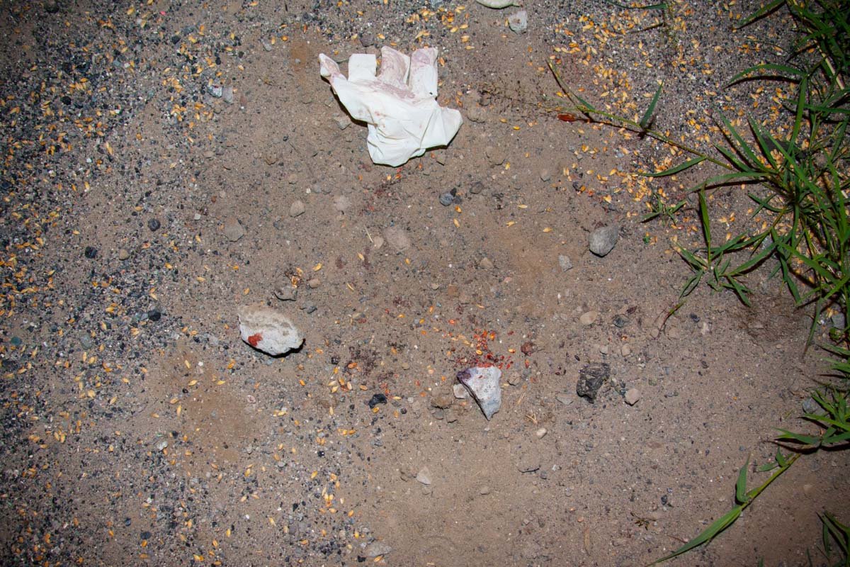 Под Днепром грузовик насмерть сбил велосипедиста 3