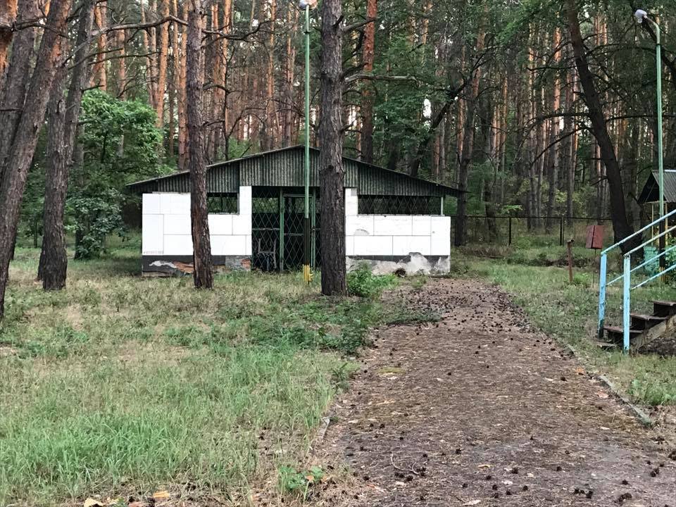 Почему турбаза, которая принадлежит ДНУ, пришла в запустение 2