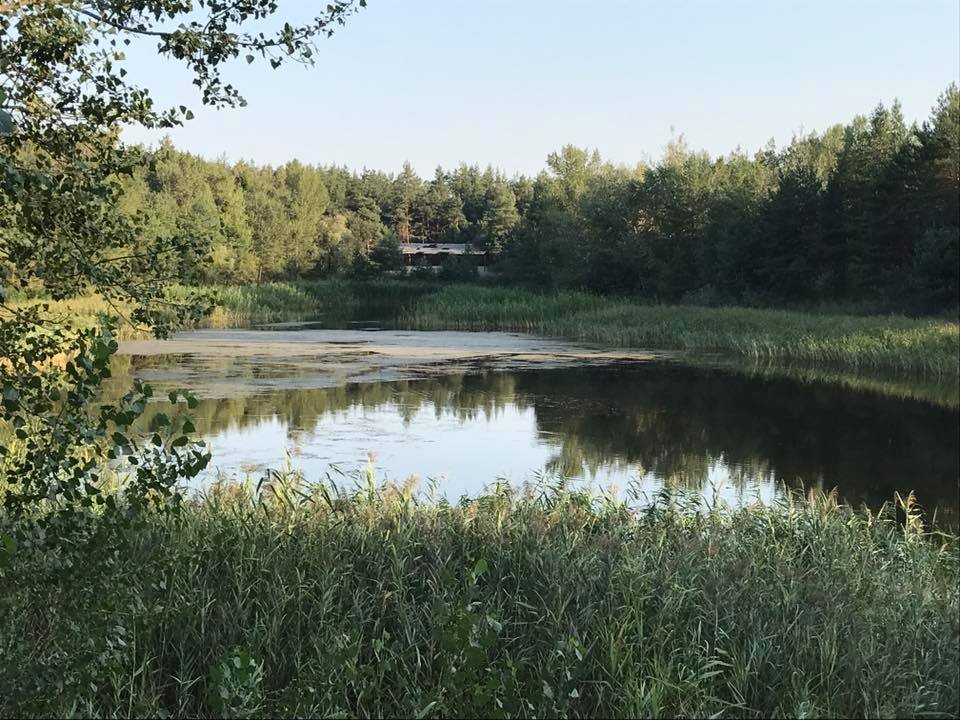 Почему турбаза, которая принадлежит ДНУ, пришла в запустение 3