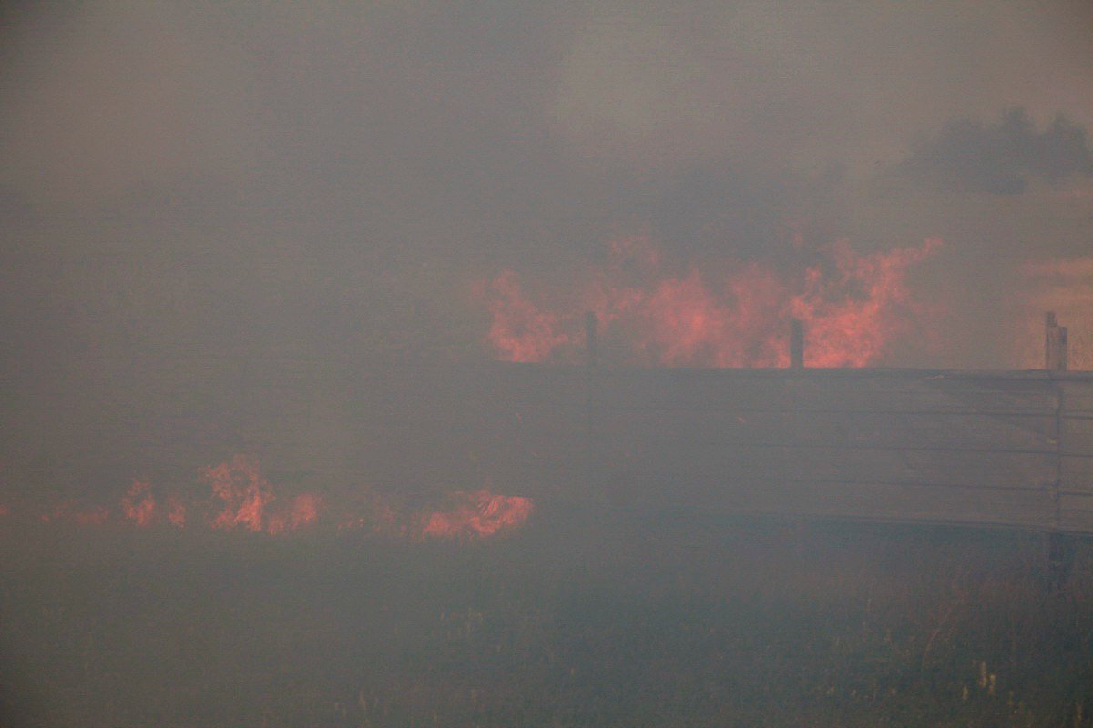 Много огня: на Донецком шоссе возле заправки WOG горела сухая трава 2
