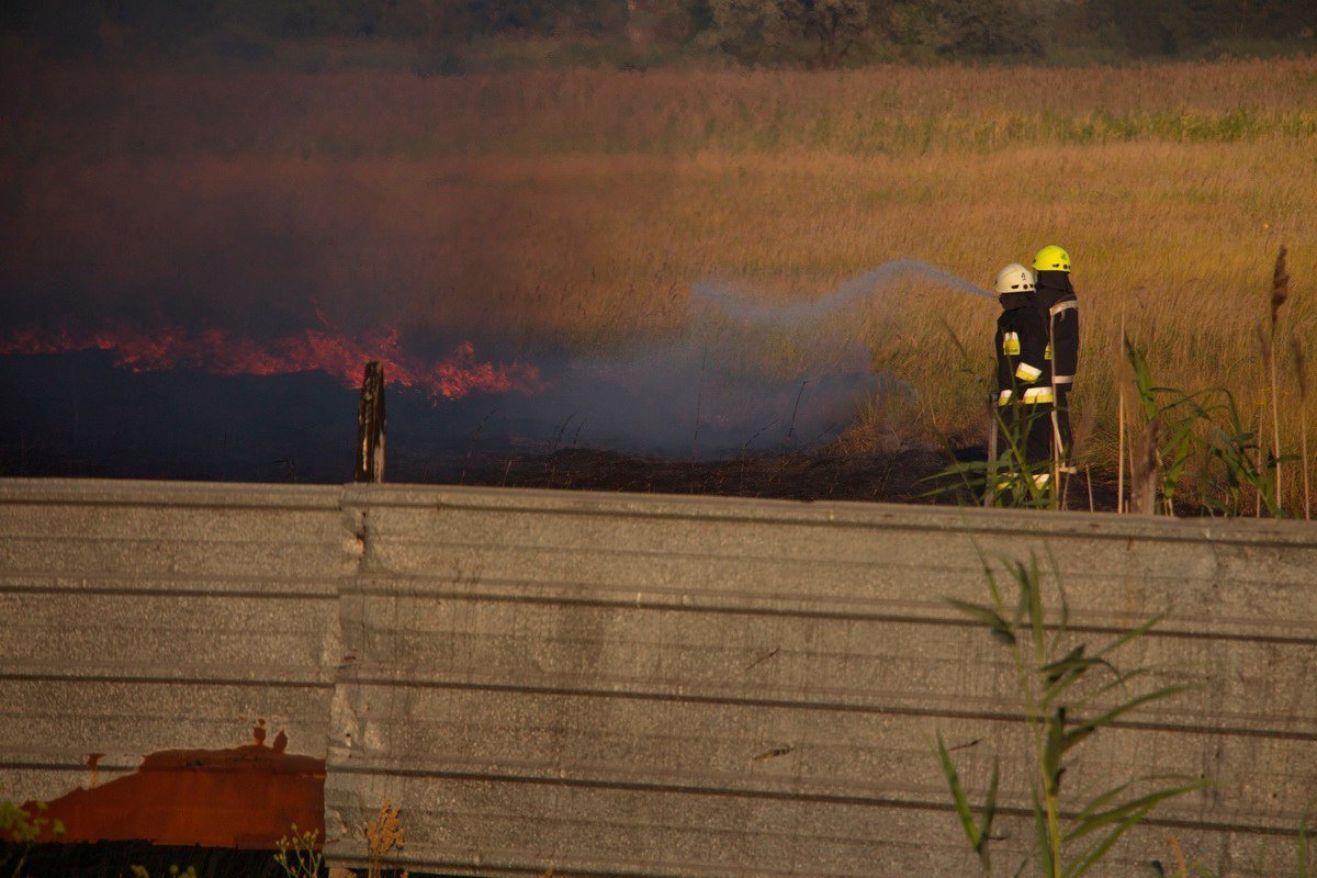 Много огня: на Донецком шоссе возле заправки WOG горела сухая трава 3