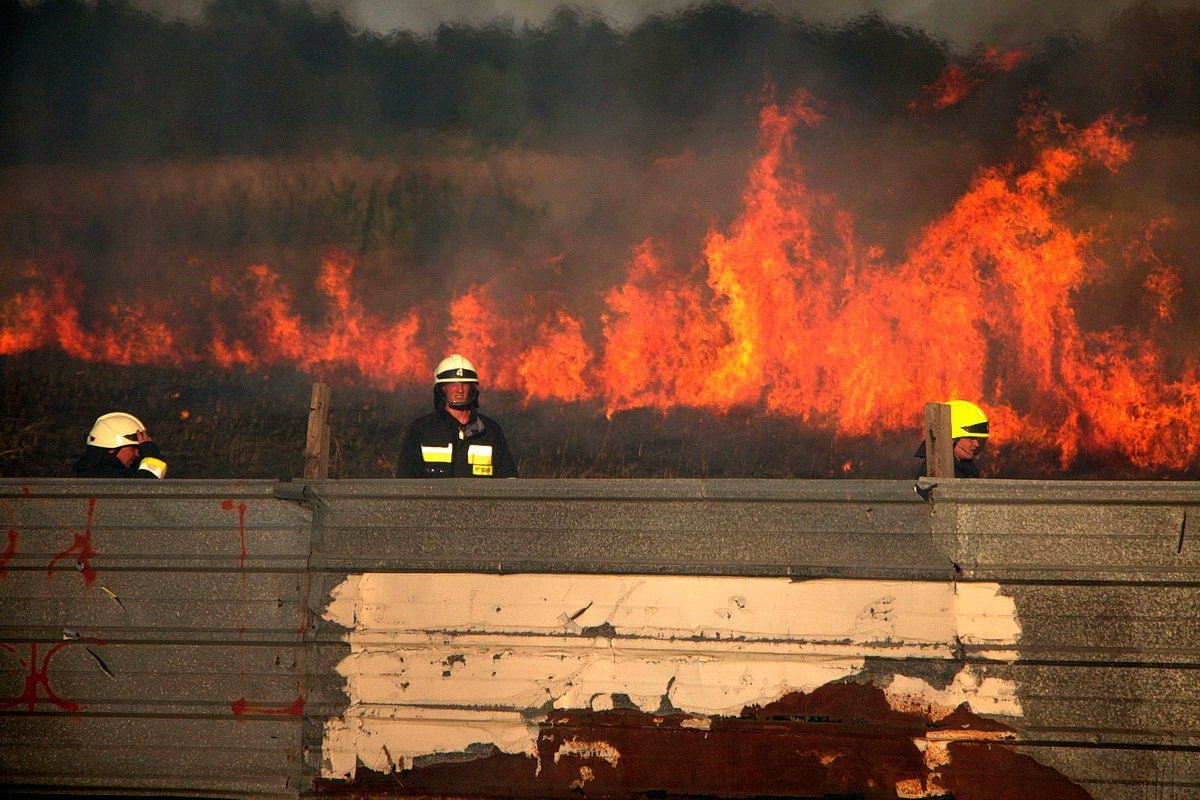 Много огня: на Донецком шоссе возле заправки WOG горела сухая трава 11