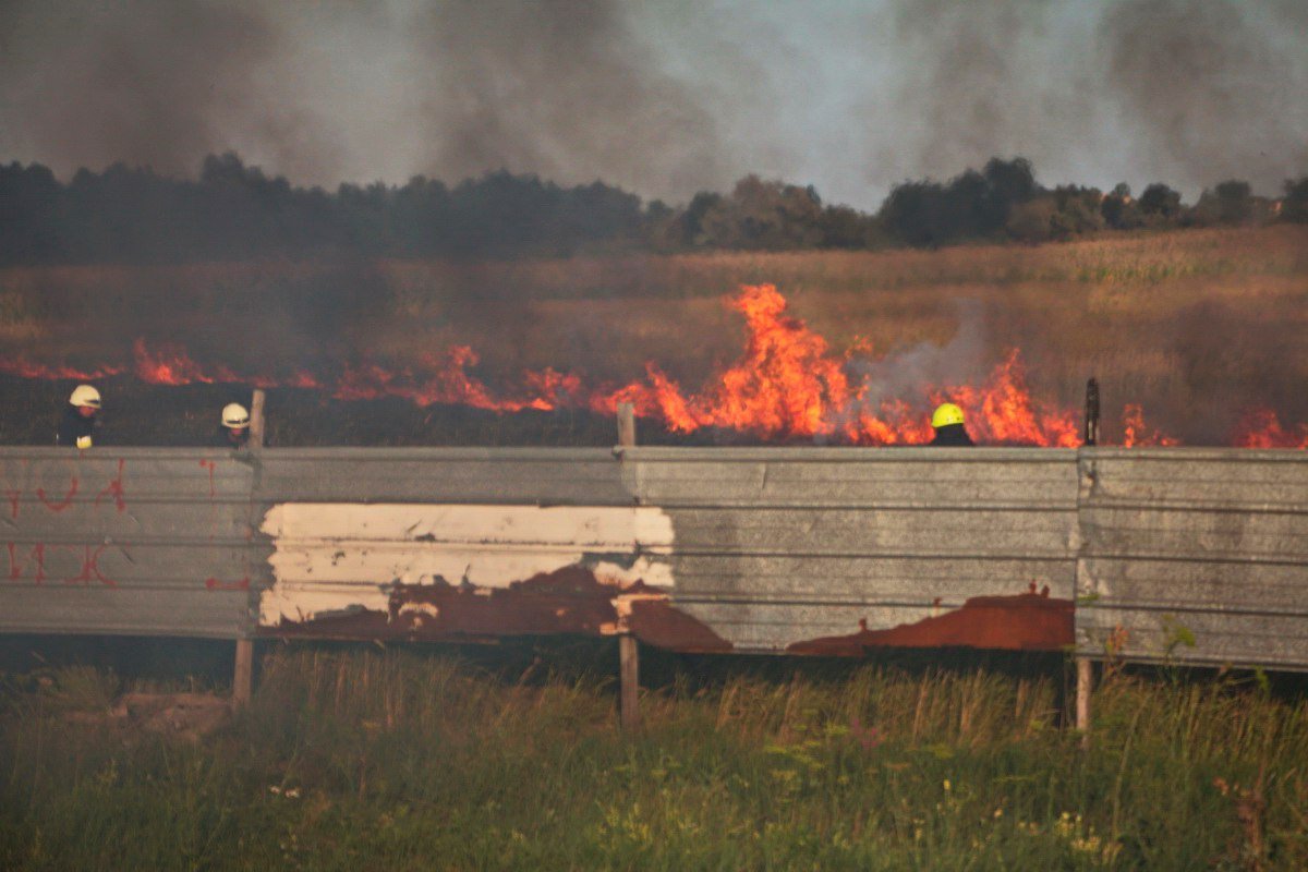 Много огня: на Донецком шоссе возле заправки WOG горела сухая трава 12