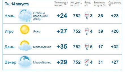 Погода на 14 августа: в Днепре будет малооблачно и жарко 1