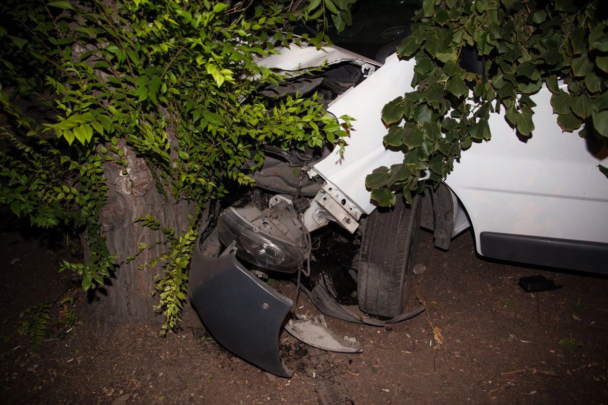 В Днепре пьяный водитель микроавтобуса Renault снес дерево 2