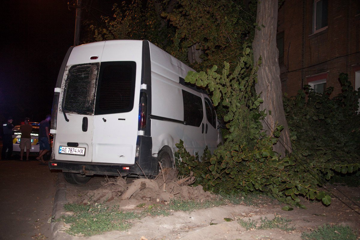 В Днепре пьяный водитель микроавтобуса Renault снес дерево 6