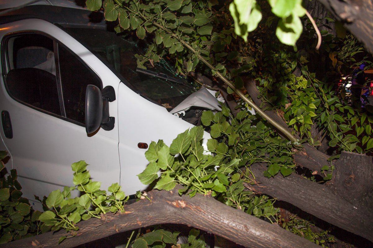 В Днепре пьяный водитель микроавтобуса Renault снес дерево 7