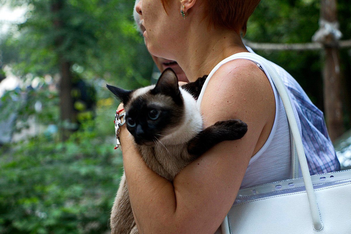 Из-за пожара на Янгеля из квартиры падали стекла и валил дым 8