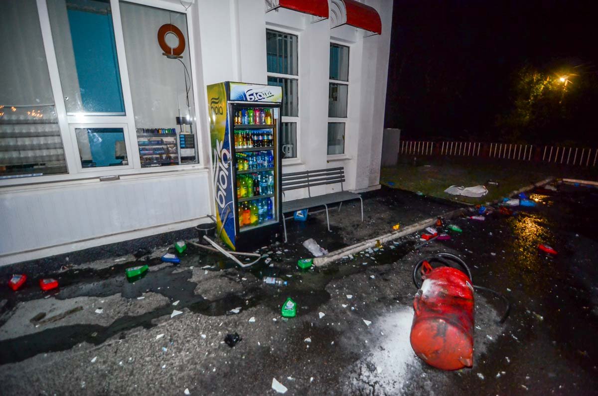 На Слобожанском проспекте водитель Nissan сбил животное и врезался в автозаправку 3