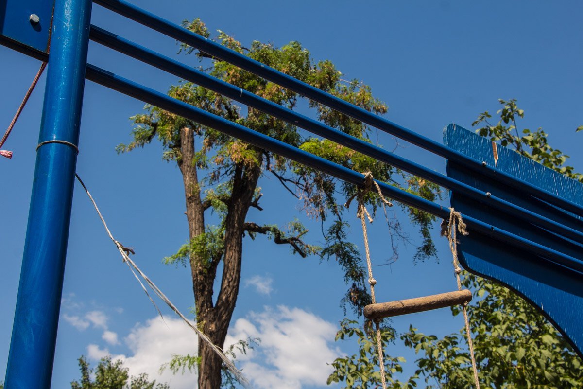 В центре Днепра из-за спила деревьев переругались жильцы многоэтажки 2