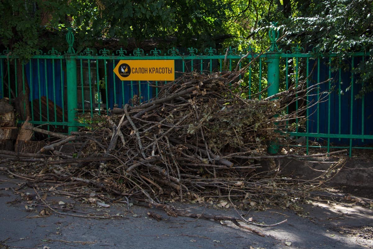 В центре Днепра из-за спила деревьев переругались жильцы многоэтажки 4
