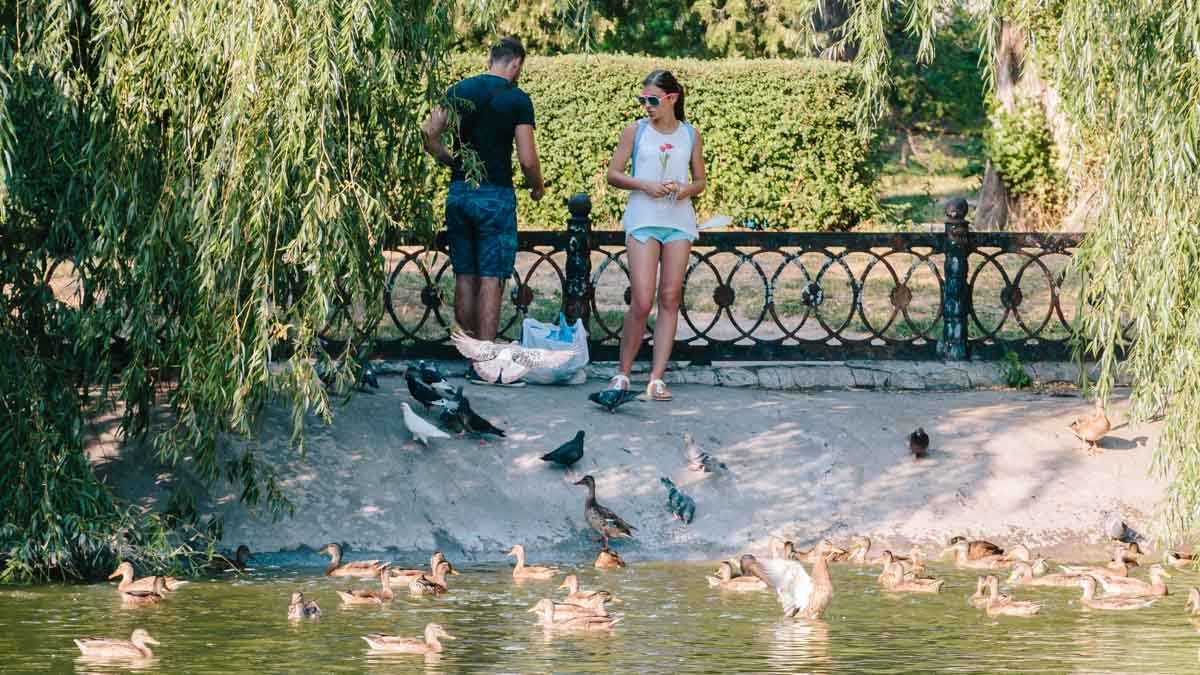 Информатор вышел «на охоту» в Днепре: ищите себя на фотографиях 21