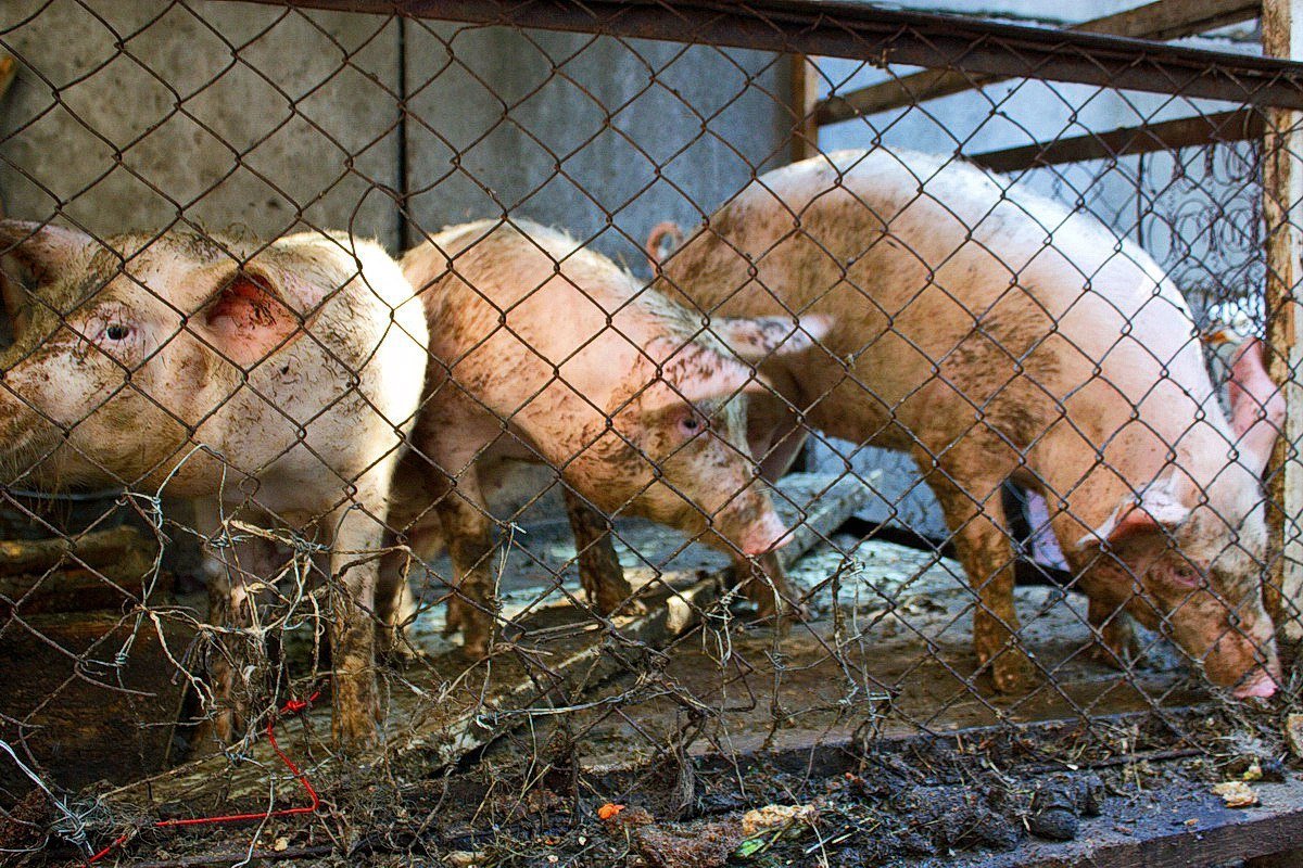Изнанка яркого города: как в Днепре спасают бездомных со страшными болезнями и зависимостями 7
