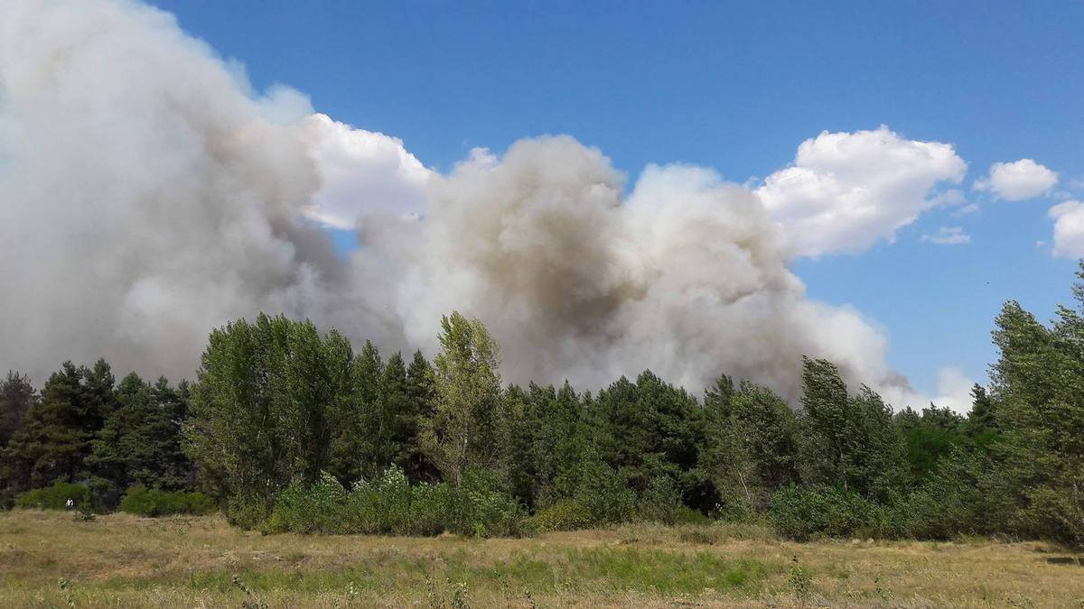 85 человек и пожарная авиация: в области тушат масштабный пожар 1