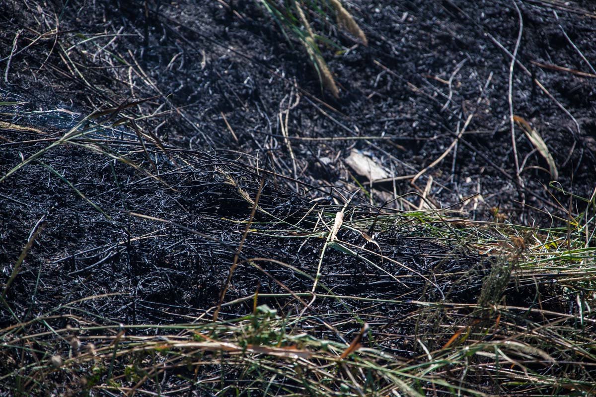 Стало известно, что горело на Донецком шоссе 2