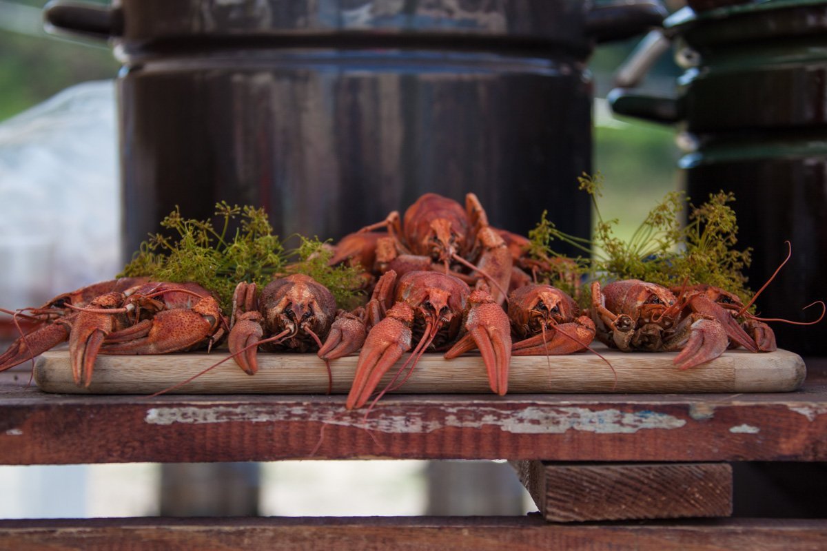 Лобстеры, устрицы и жареное мороженое: в Днепре стартовал фестиваль еды 24