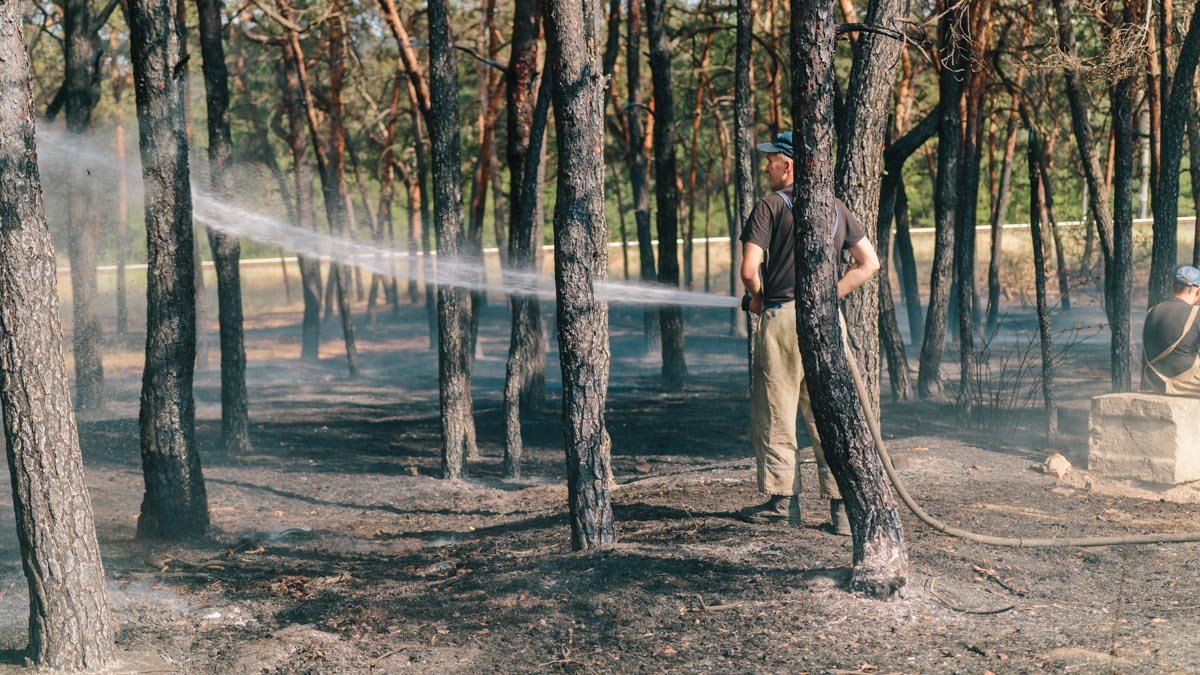 На левом берегу Днепра очередной пожар 1