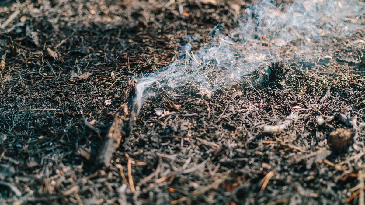 На левом берегу Днепра очередной пожар 2