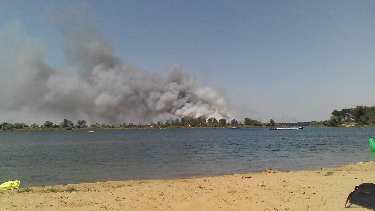 Под Днепром загорелся хвойный лес 1