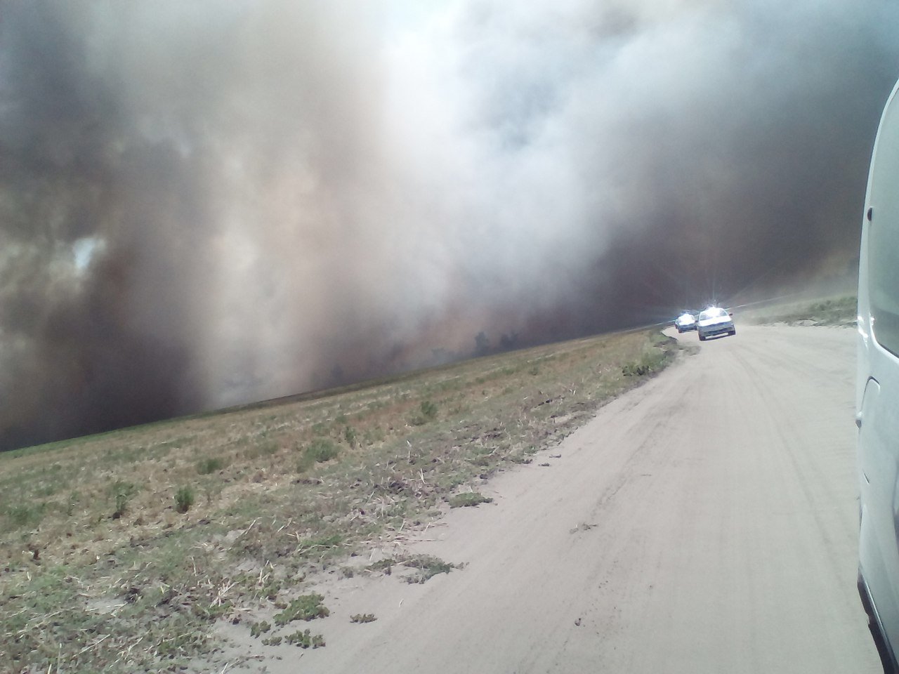 Под Днепром загорелся хвойный лес 3