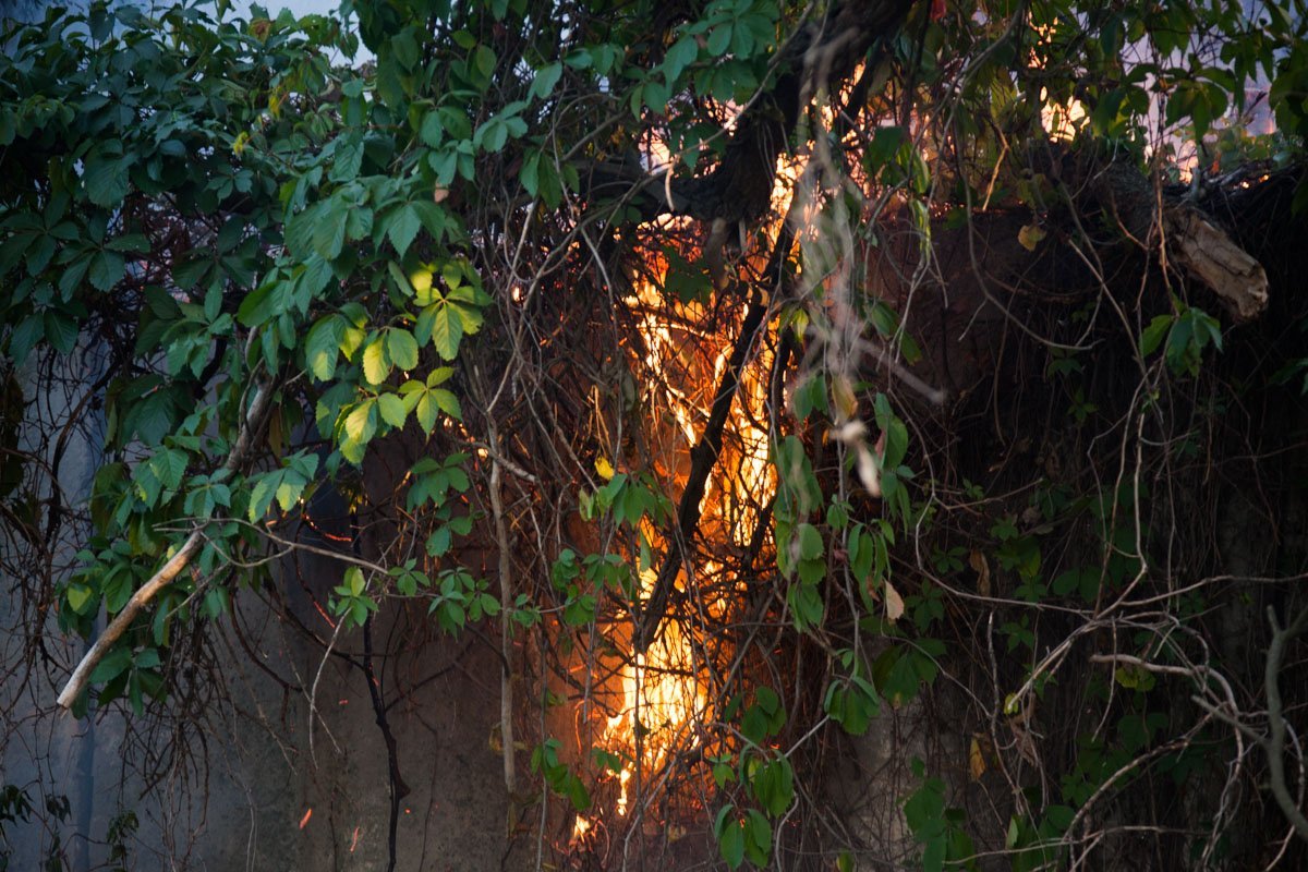 Пожар на Молодогвардейской: горели трава и сухостой 1