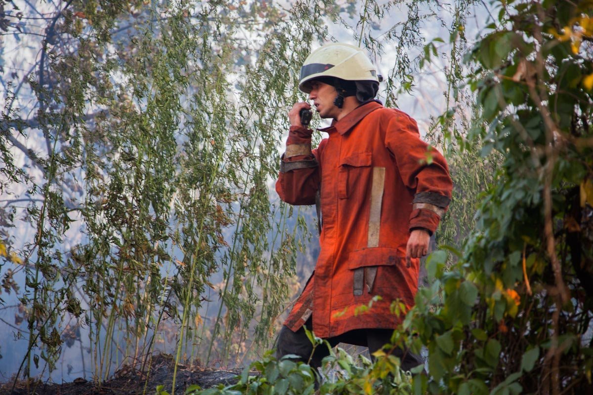 Пожар на Молодогвардейской: горели трава и сухостой 2