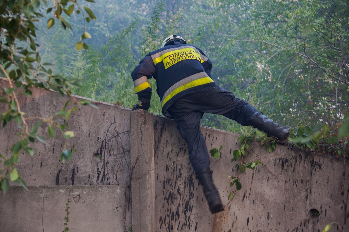 Пожар на Молодогвардейской: горели трава и сухостой 4