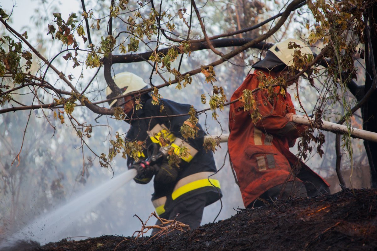 Пожар на Молодогвардейской: горели трава и сухостой 5