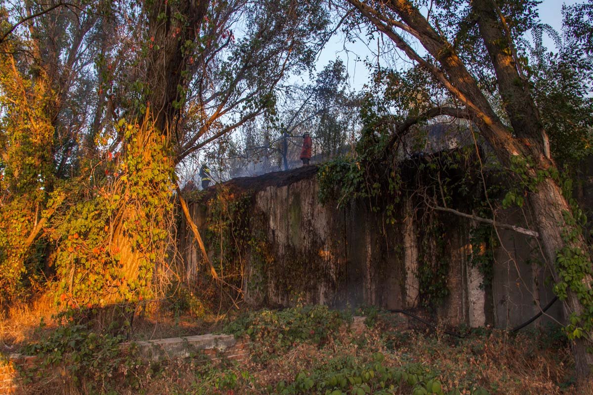 Пожар на Молодогвардейской: горели трава и сухостой 6