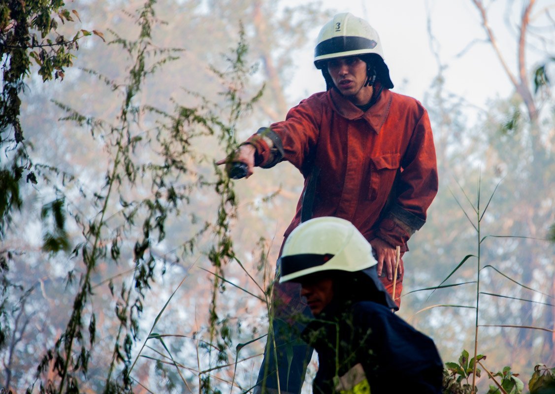 Пожар на Молодогвардейской: горели трава и сухостой 7