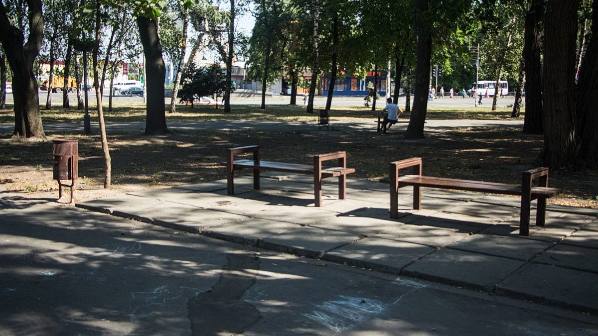 Скамейки, площадки и очень много белок: ревизия в парке Писаржевского 6