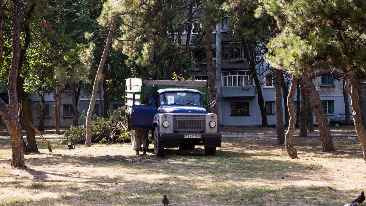 Скамейки, площадки и очень много белок: ревизия в парке Писаржевского 11
