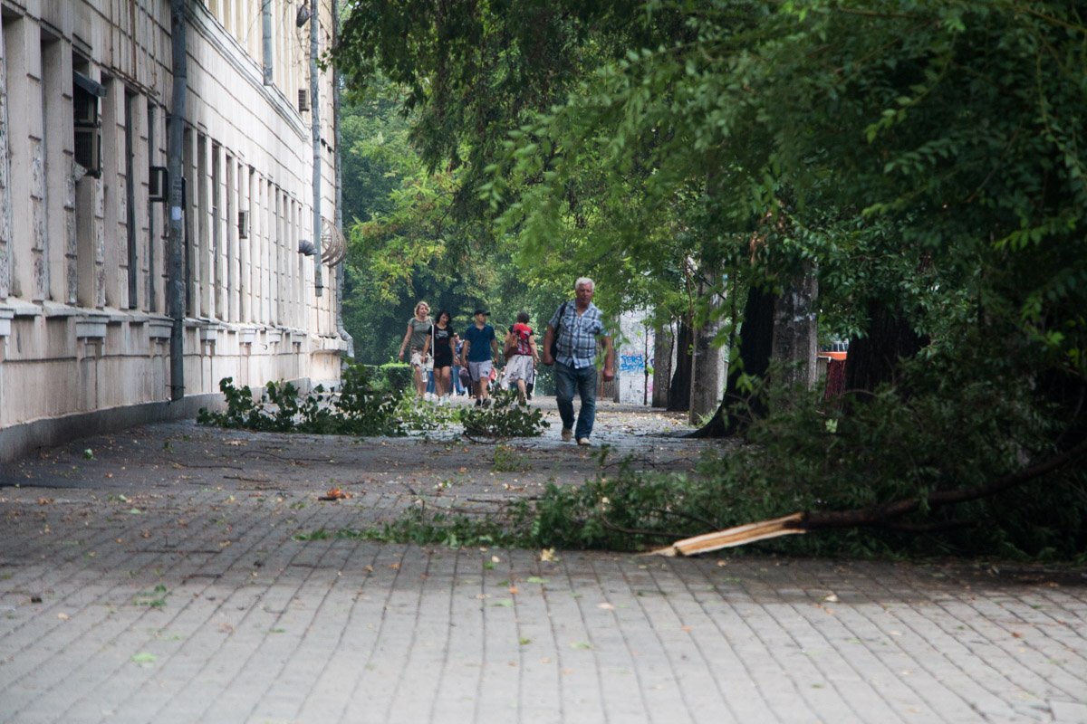 Поваленные ветки и парализованное движение: Днепр накрыла непогода 2