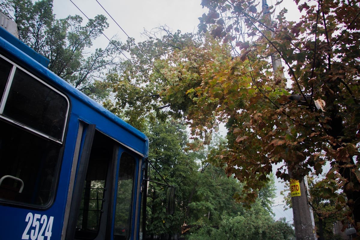 Поваленные ветки и парализованное движение: Днепр накрыла непогода 3