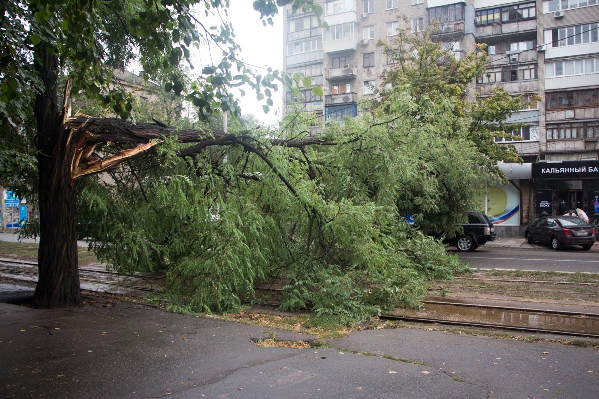 Поваленные ветки и парализованное движение: Днепр накрыла непогода 6