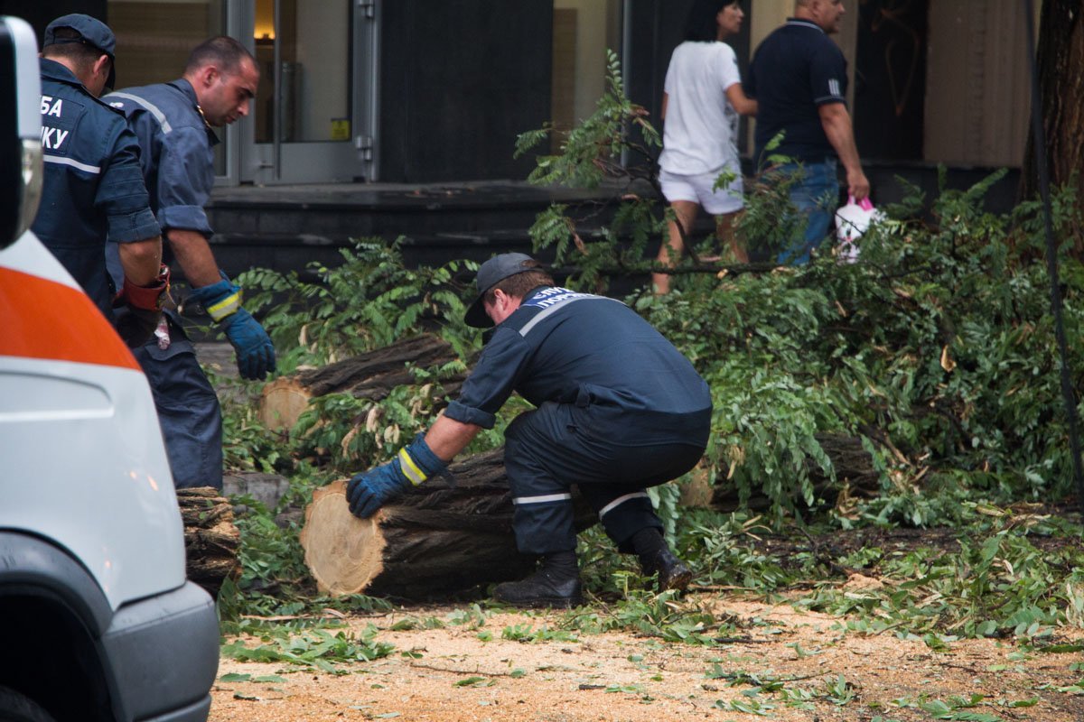 В центре Днепра на машину упало дерево 1
