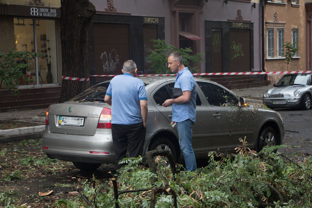 В центре Днепра на машину упало дерево 2