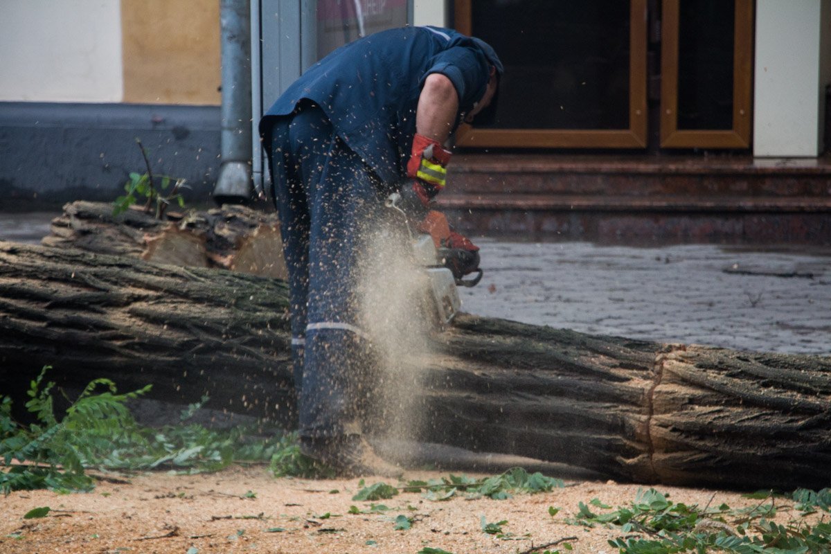 В центре Днепра на машину упало дерево 3