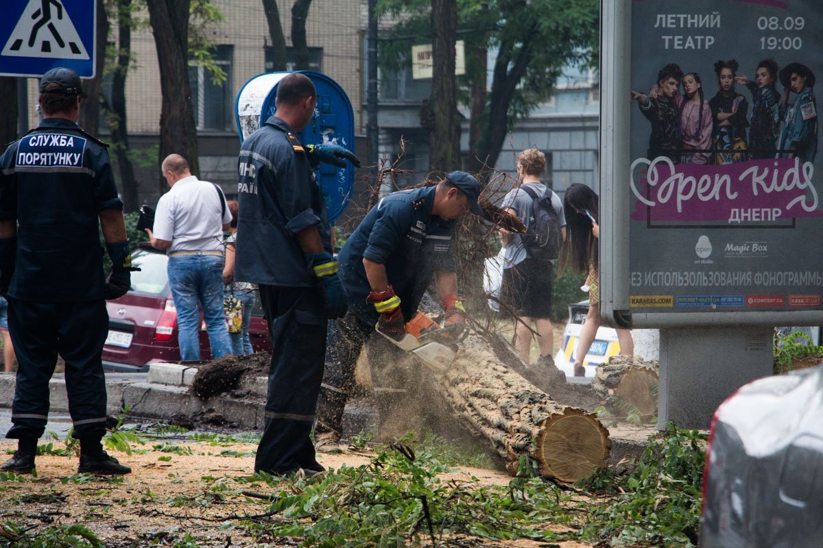 В центре Днепра на машину упало дерево 4
