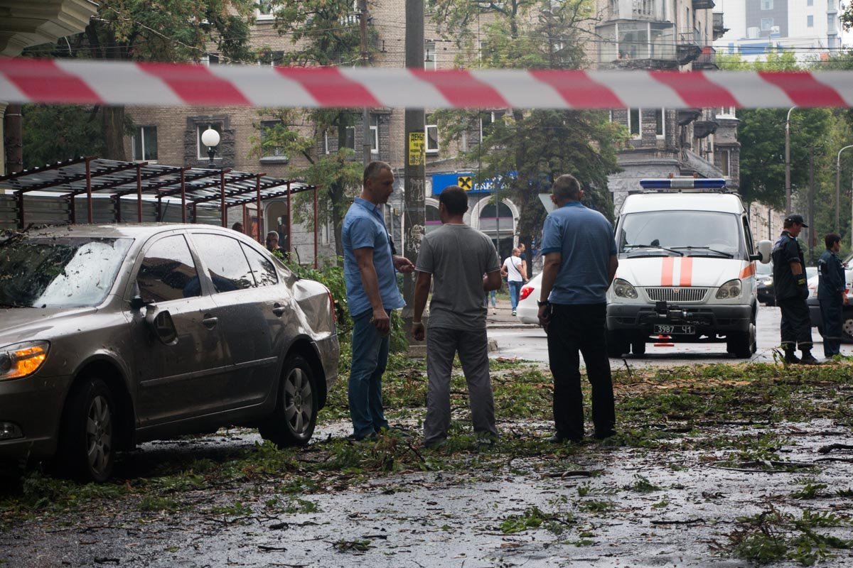 В центре Днепра на машину упало дерево 5