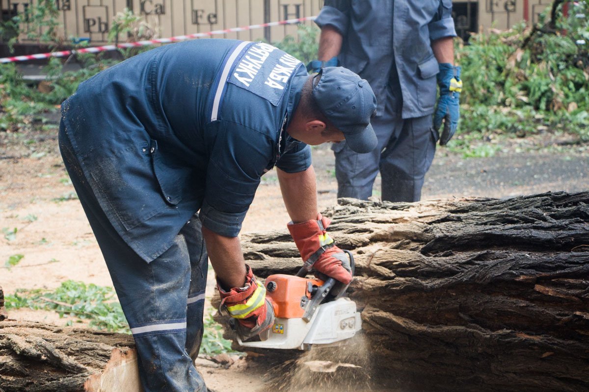 В центре Днепра на машину упало дерево 6
