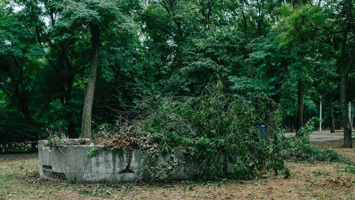 Остатки зданий и странные лавки: ревизия парка Богдана Хмельницкого в Днепре 21