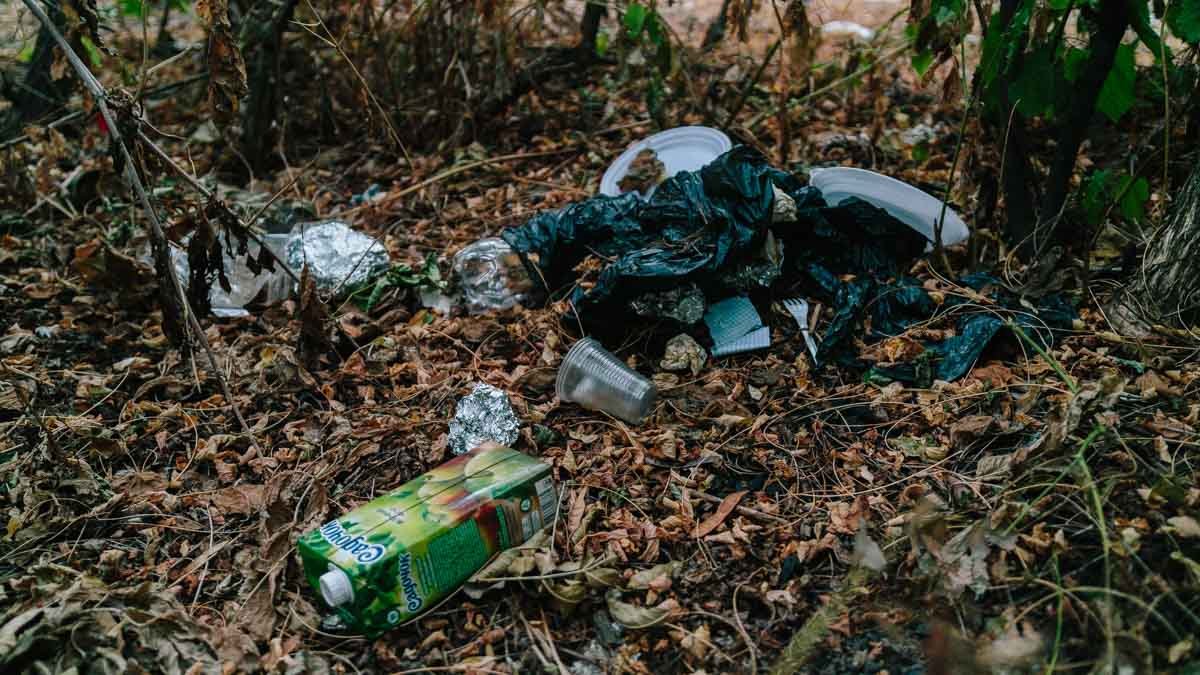 Остатки зданий и странные лавки: ревизия парка Богдана Хмельницкого в Днепре 24
