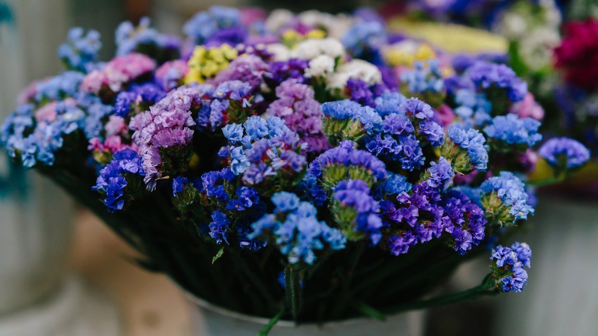 Цветочная лихорадка: жители Днепра массово покупают цветы к 1 сентября 5