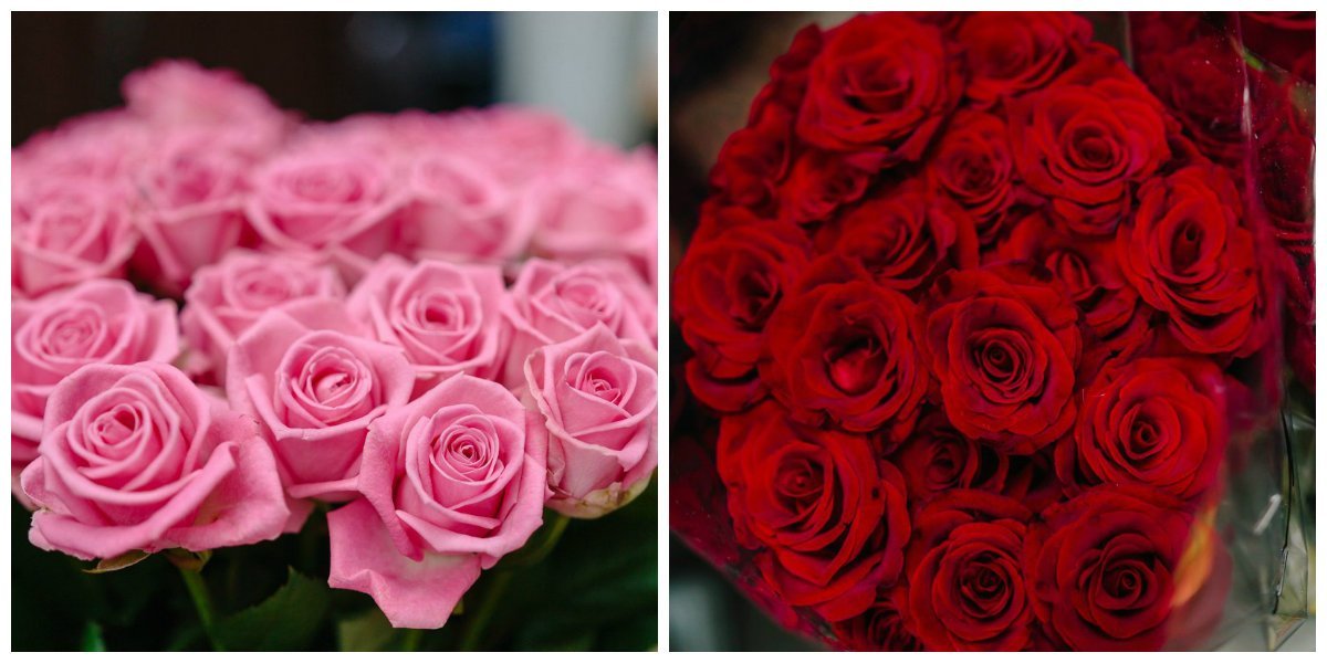 Цветочная лихорадка: жители Днепра массово покупают цветы к 1 сентября 9