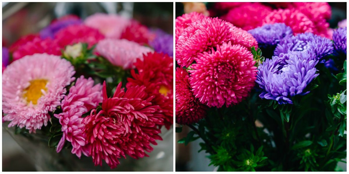 Цветочная лихорадка: жители Днепра массово покупают цветы к 1 сентября 10